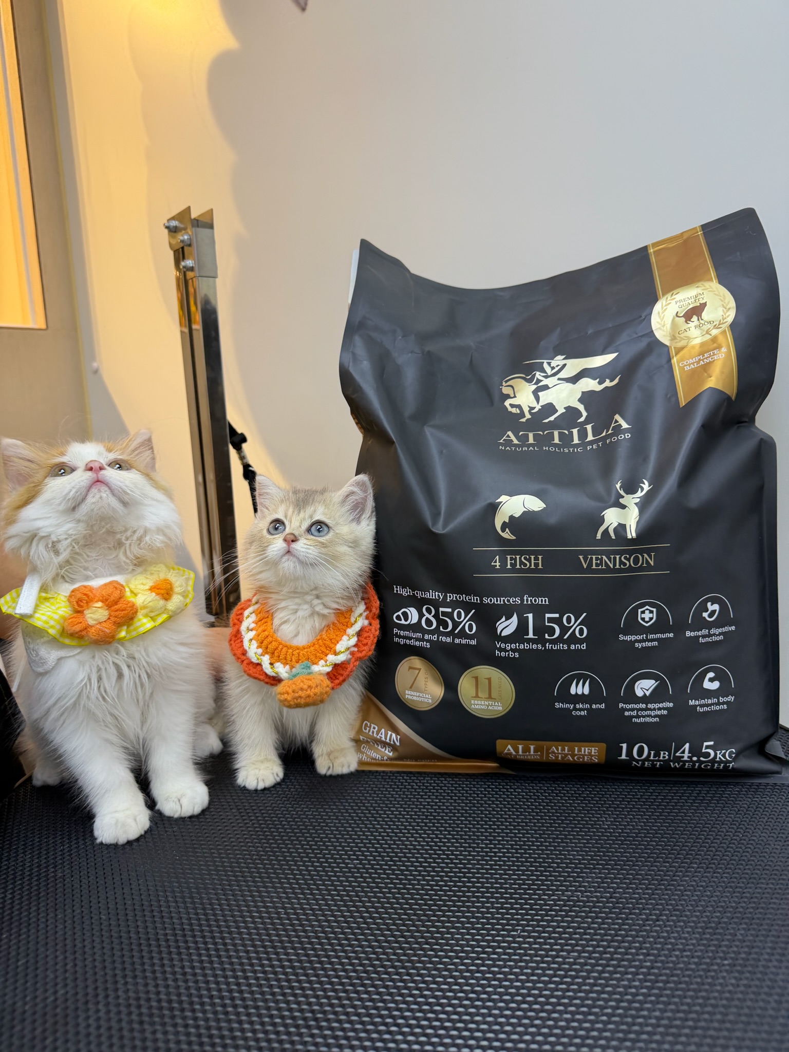 Our pet spa